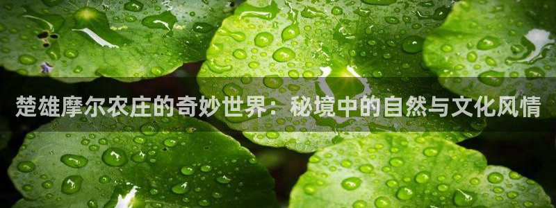 天辰娱乐主管