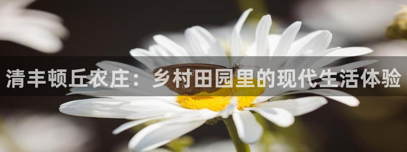 天辰辰娱乐代理