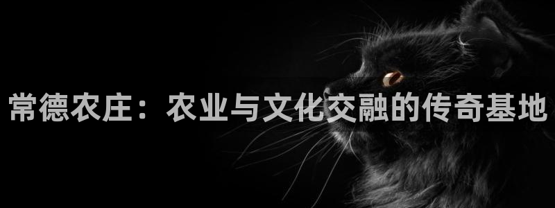 天辰娱乐测试