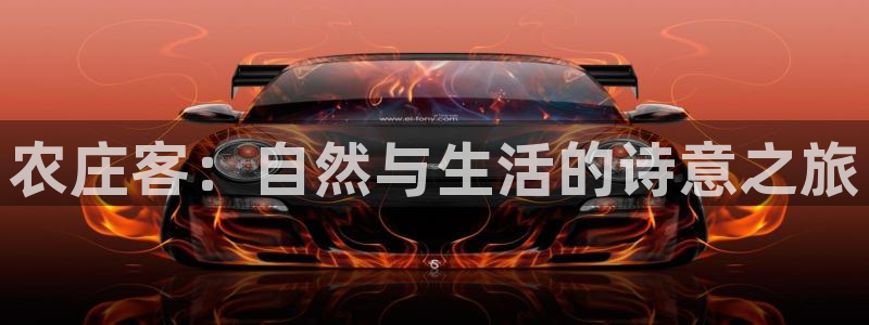 nba天辰娱乐