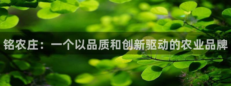 天辰娱乐国际