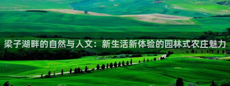 天辰娱乐平台安全吗