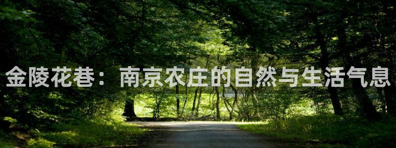 天辰娱乐海洋