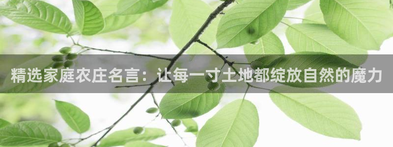 天辰娱乐51137