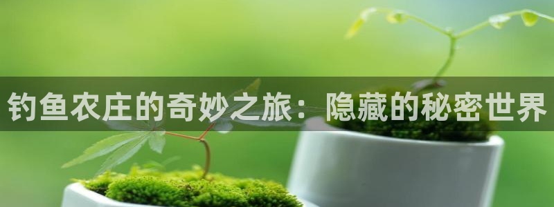 天辰娱乐平台入口