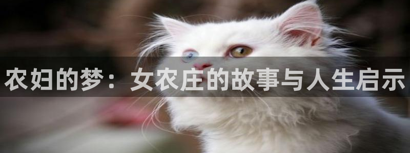天辰娱乐平台地址