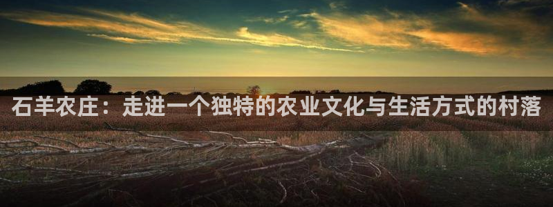 天辰娱乐招商