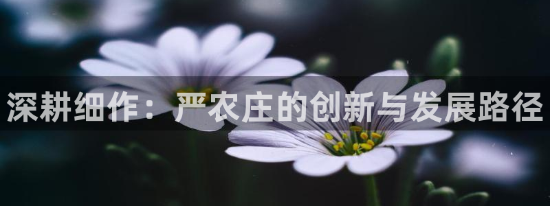 天辰娱乐官