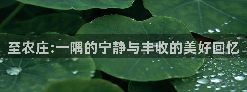 天辰娱乐登陆