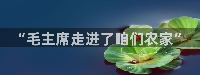 天辰娱乐1996