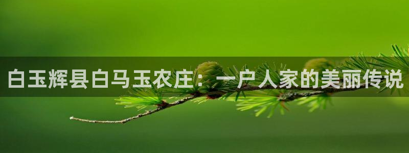 天辰宝娱乐