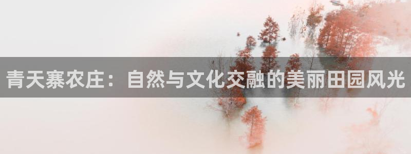 天辰娱乐平台app下载