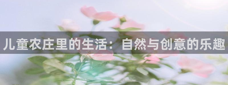 天辰娱乐分红