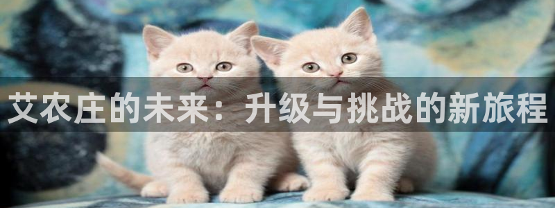 天辰娱乐官网