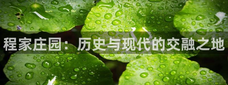 天富娱乐天辰娱乐
