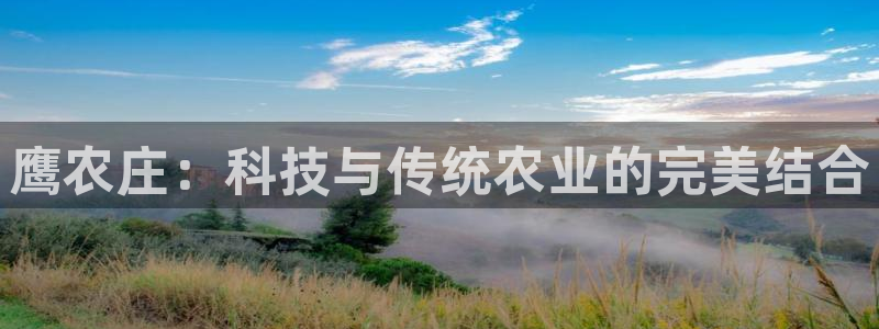 天辰娱乐 主管