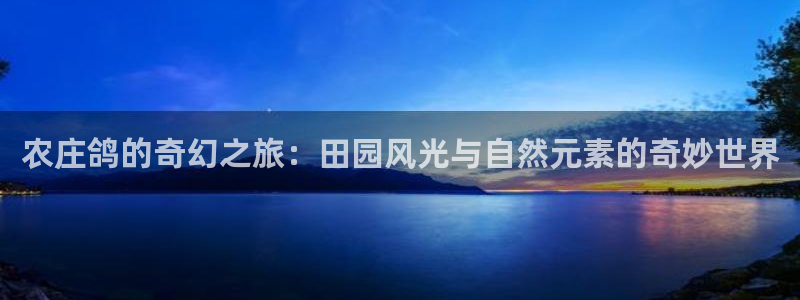 天辰娱乐 849852
