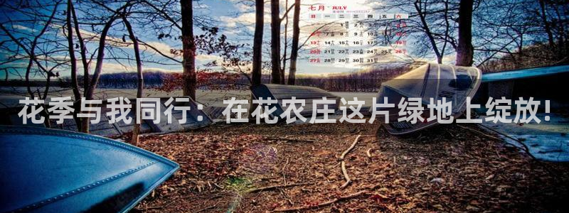 天辰娱乐61116