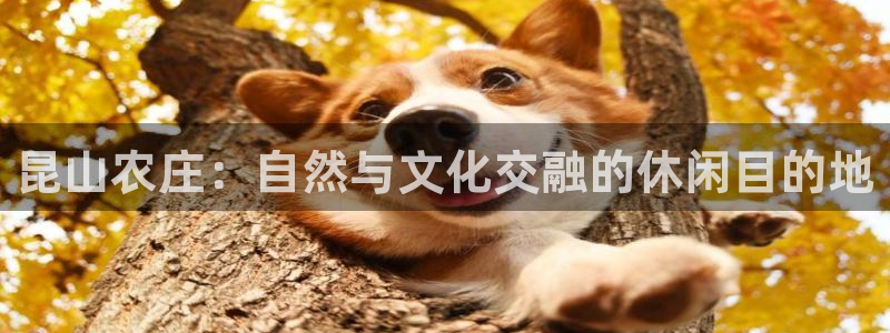 南京天辰娱乐