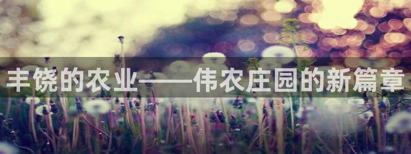 天辰辰娱乐代理