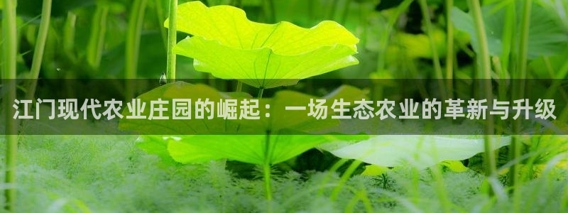 常州天辰娱乐