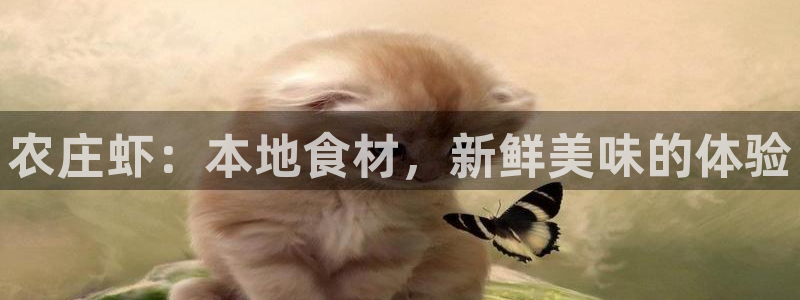 北京天辰娱乐