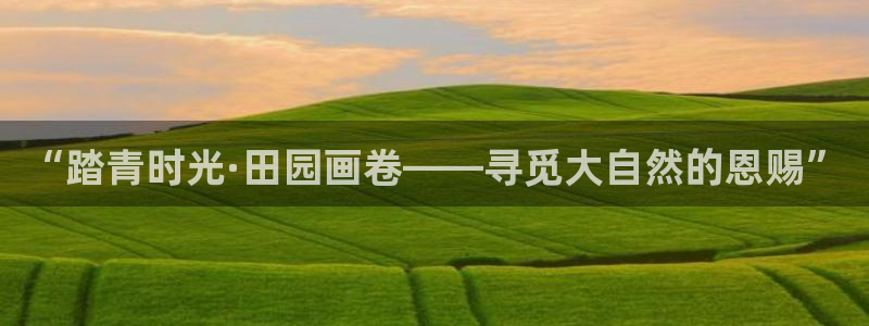天辰娱乐557696