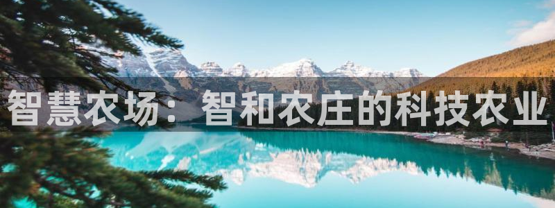 天辰团队贝高娱乐