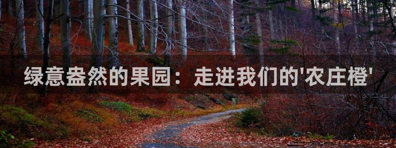 天富娱乐天辰娱乐
