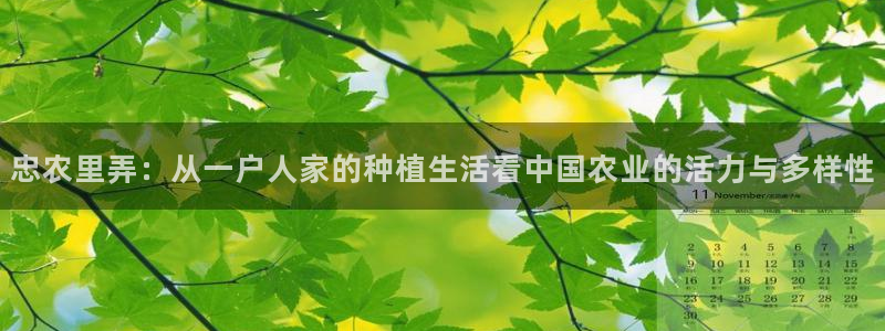 天辰辰娱乐代理