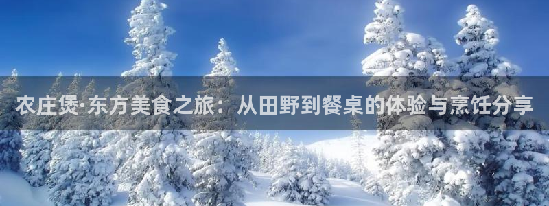 天辰娱乐平台app下载