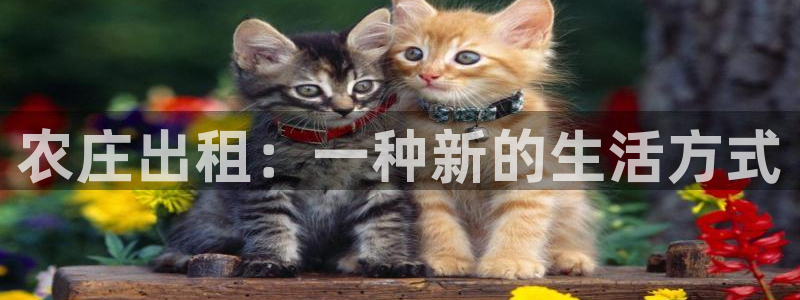 天辰娱乐厕所