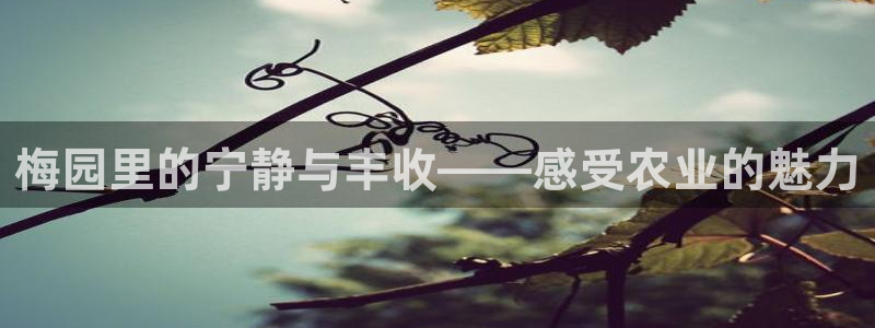 天辰娱乐好吗