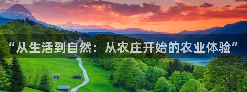 天辰娱乐内部