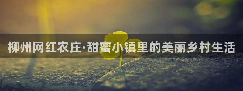 天辰娱乐APP下载