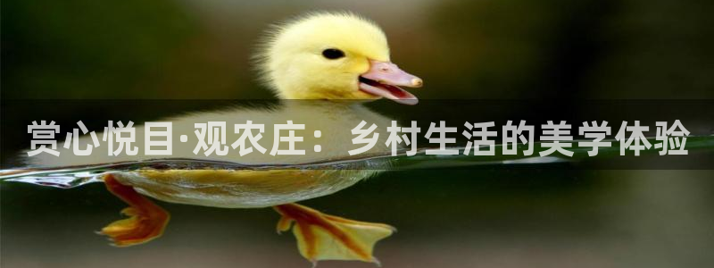 天辰娱乐_ 18113