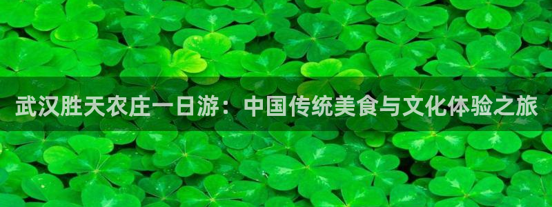 天辰娱乐39596