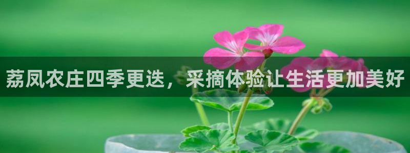 天辰娱乐新闻