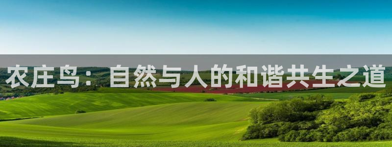 天辰娱乐元宝