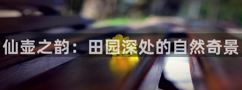 天辰娱乐 849852