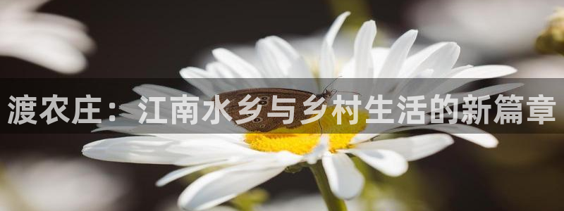 天辰娱乐黑人
