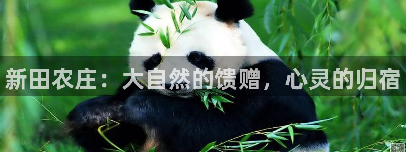 天辰娱乐平台