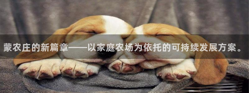 天辰娱乐黑人