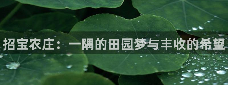 天辰娱乐黑人