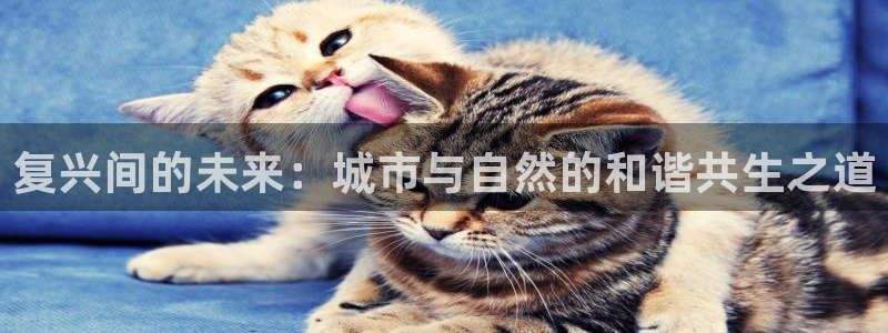 天辰娱乐厕所
