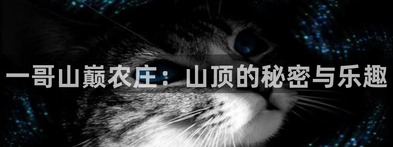 天辰娱乐解封