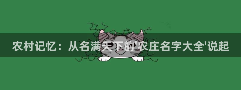 天辰娱乐总管年薪