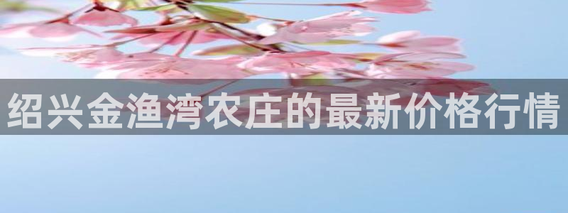 天辰娱乐分红