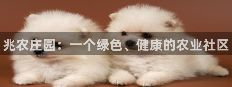 天辰娱乐论坛