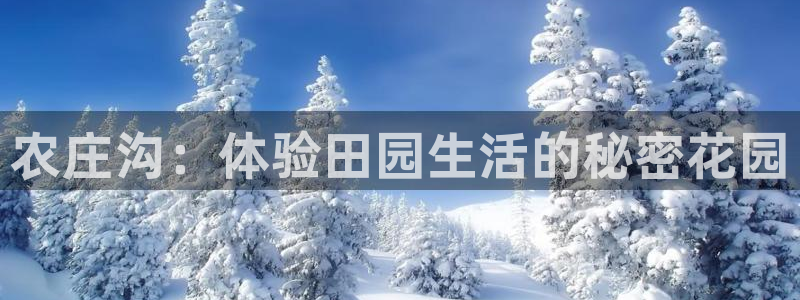 天辰娱乐代理